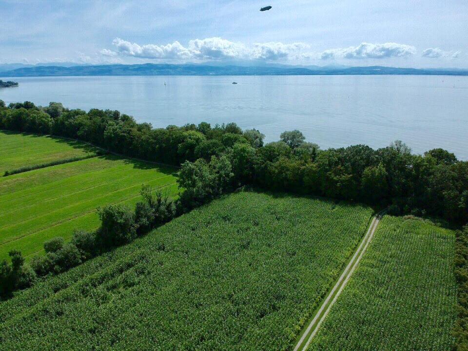 Wohlfuehlloft Seekretzer Mit Privatem Seezugang FDH Eksteriør billede